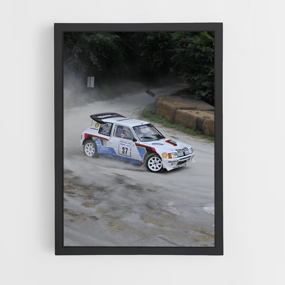 Poster impressionnant de rallye – affiche Peugeot (vue 2)